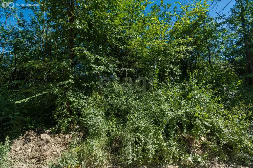 Участок в село Соколиное, улица Титова (10.56 м) - Фото 1