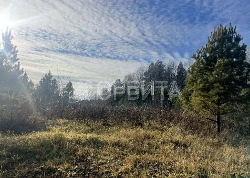 Участок в Тюменская область, Нижнетавдинский район, д. Московка  (49.0 ... - Фото 1