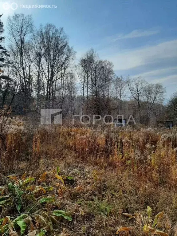 Участок в Барышевский сельсовет, некоммерческое садоводческое ... - Фото 0