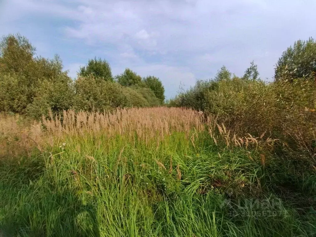 Участок в Владимирская область, Собинский муниципальный округ, пос. ... - Фото 0