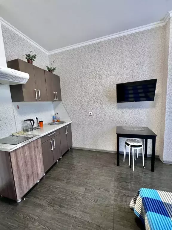 1-к кв. Краснодарский край, Сочи ул. Просвещения, 118/1 (26.0 м) - Фото 2