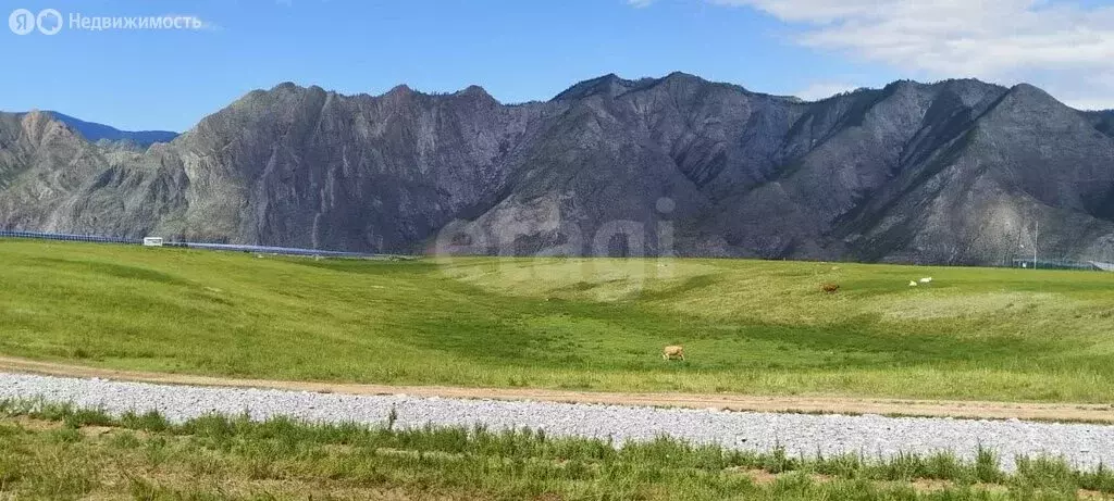 Участок в Онгудайский район, село Малый Яломан (2.62 м) - Фото 1