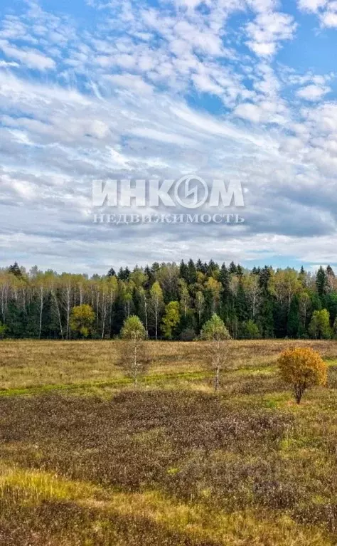 Участок в Московская область, Серпухов городской округ, д. Романовка  ... - Фото 2