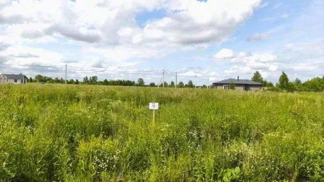 Участок в Новосибирская область, Новосибирский район, с. Кубовая, ... - Фото 1