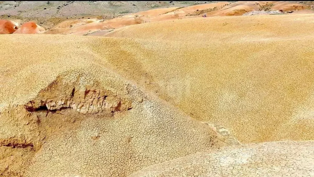 Участок в Алтай, Кош-Агачский район, с. Чаган-Узун  (2500.0 сот.) - Фото 1