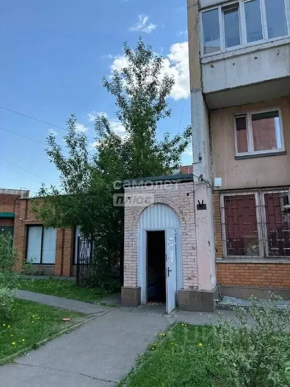 Торговая площадь в Москва Привольная ул., 61К1 (151 м) - Фото 2