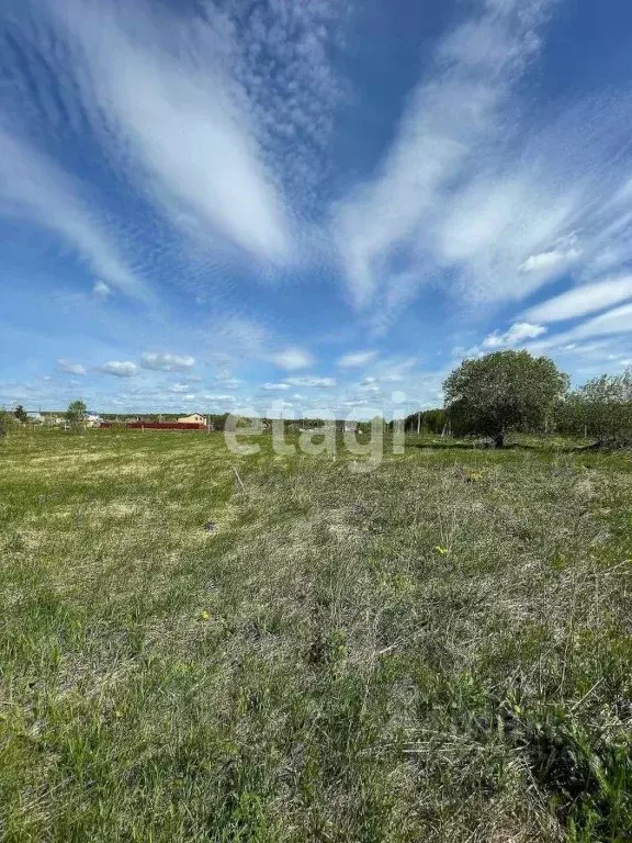 Участок в Калужская область, Бабынинский муниципальный округ, ... - Фото 1
