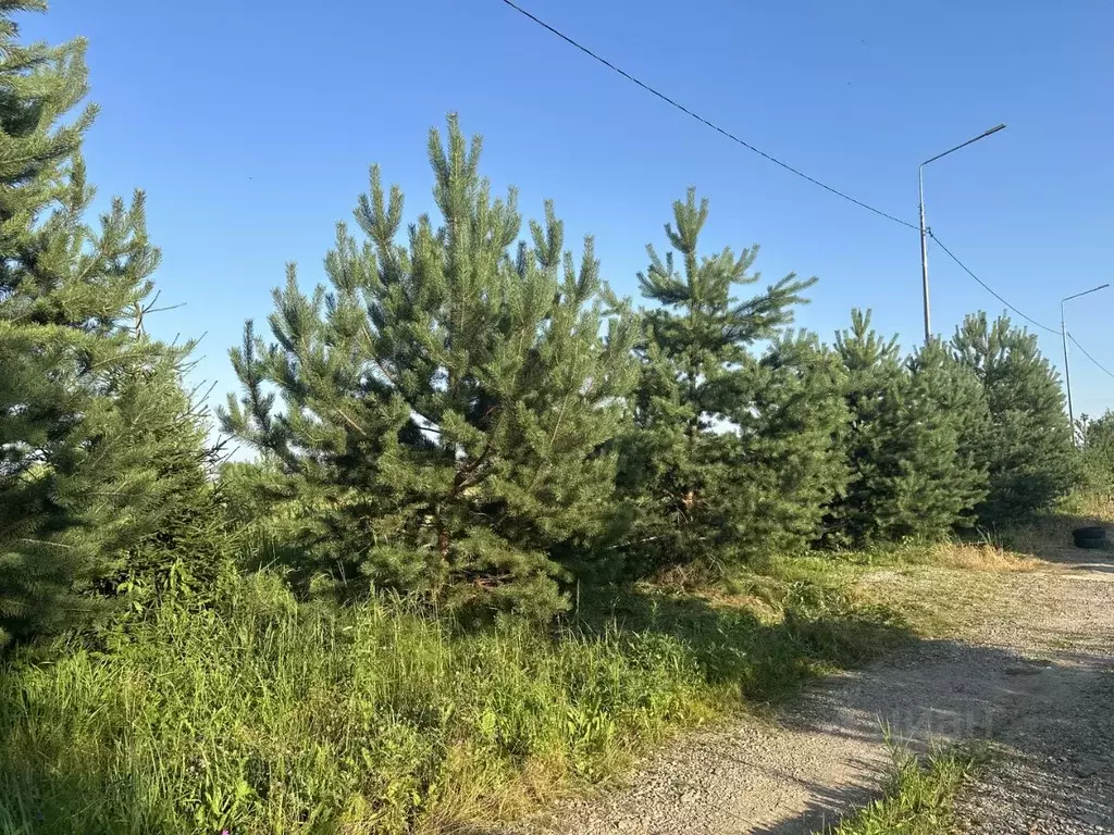 Участок в Московская область, Клин ул. Осенняя (11.7 сот.) - Фото 1