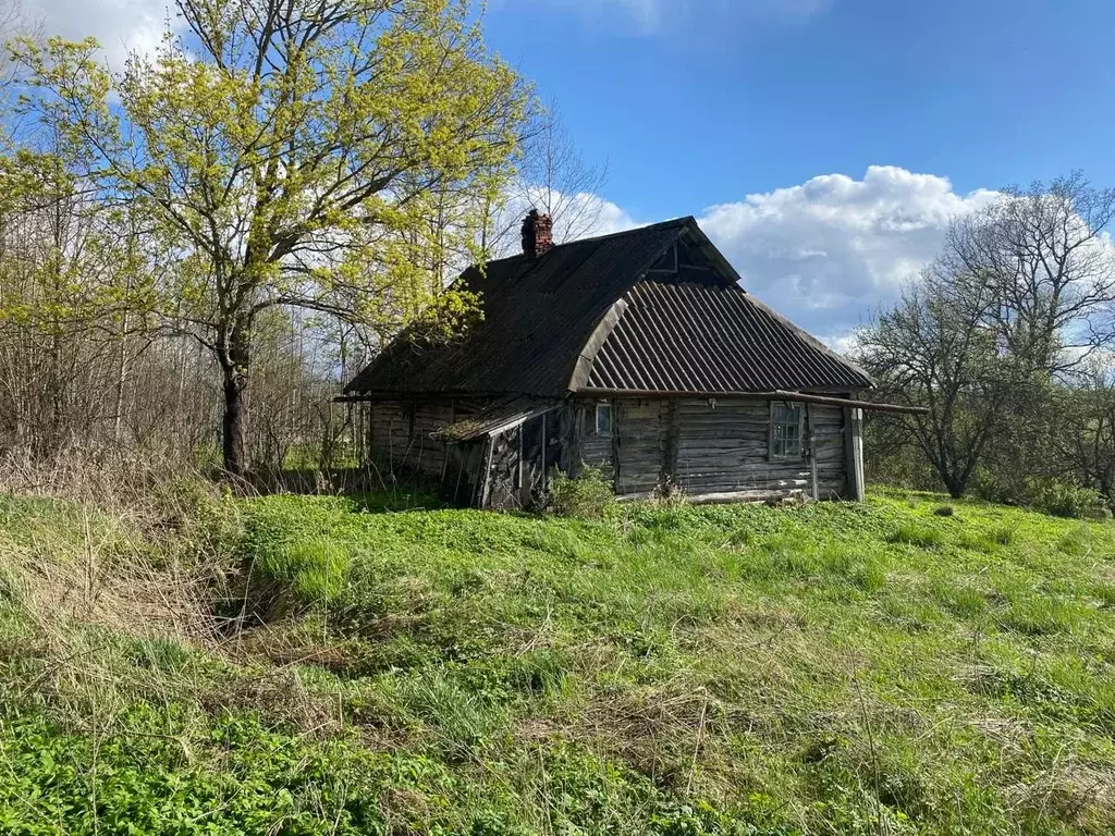 Участок в Псковская область, Пушкиногорье городское поселение, д. ... - Фото 1