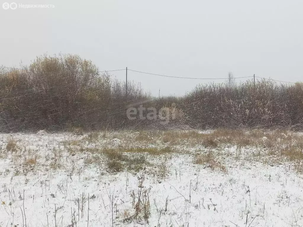 Участок в посёлок Заря, Заринская улица (10.8 м) - Фото 1