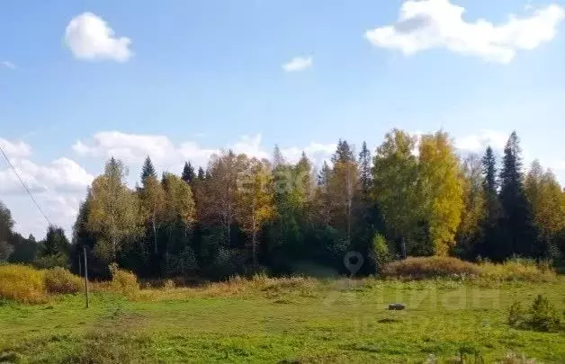 Участок в Свердловская область, Белоярский муниципальный округ, Малина ... - Фото 0
