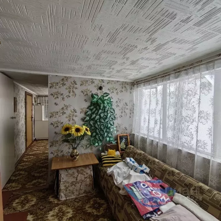 Дом в Брянская область, Навля рп пер. Лесной (55 м) - Фото 2