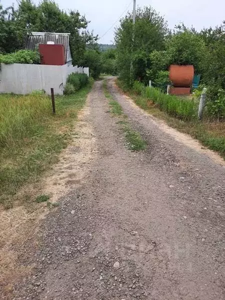 Участок в Белгородская область, Яковлевский городской округ, с. Шопино ... - Фото 0