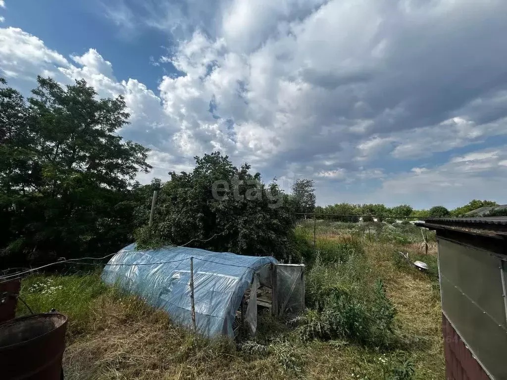 Участок в Краснодарский край, Белореченский район, Великовечненское ... - Фото 1