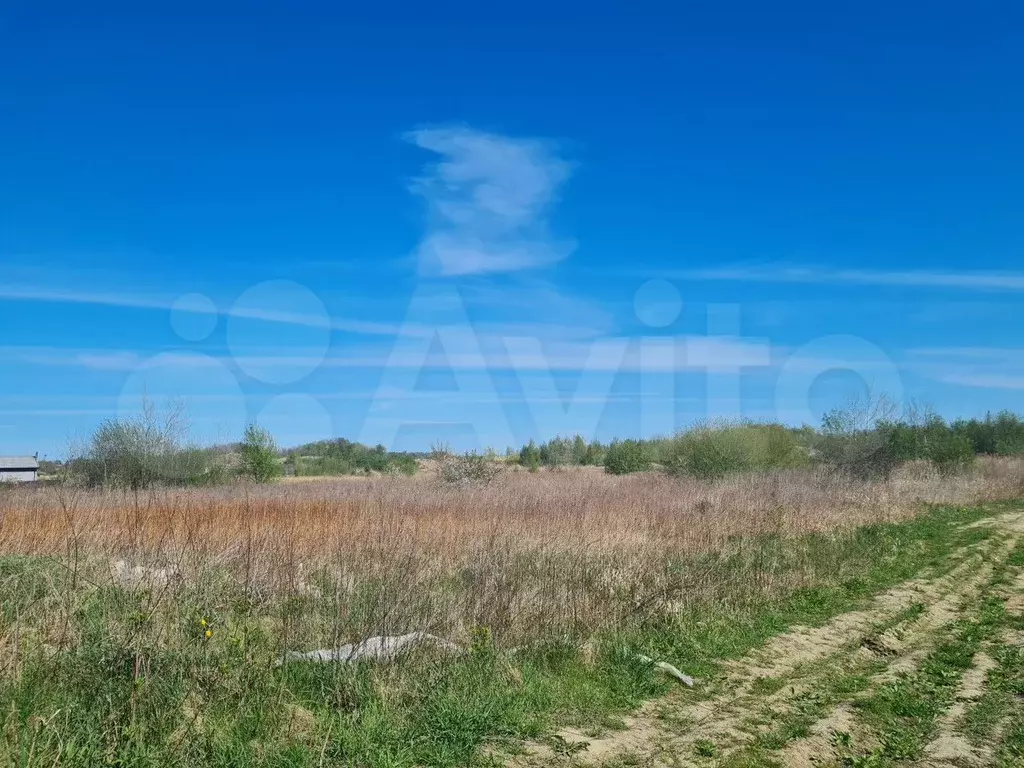 Участок 8 сот. (СНТ, ДНП) - Фото 1
