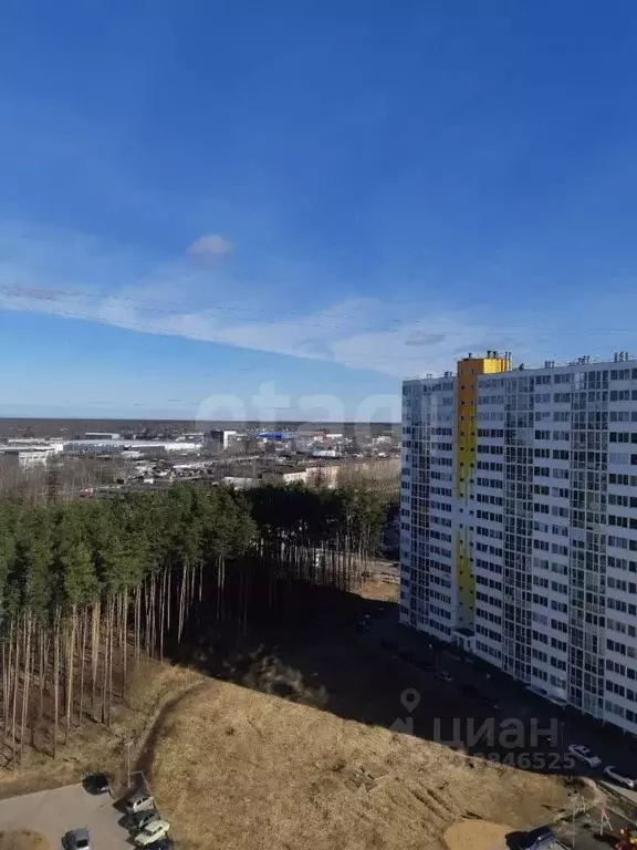 Студия Тверская область, Тверь ул. Фрунзе, 2к1 (23.6 м) - Фото 0