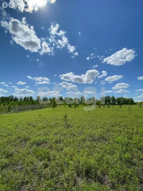 Участок в село Отрадное, улица Рамашин Луг (10.25 м) - Фото 1