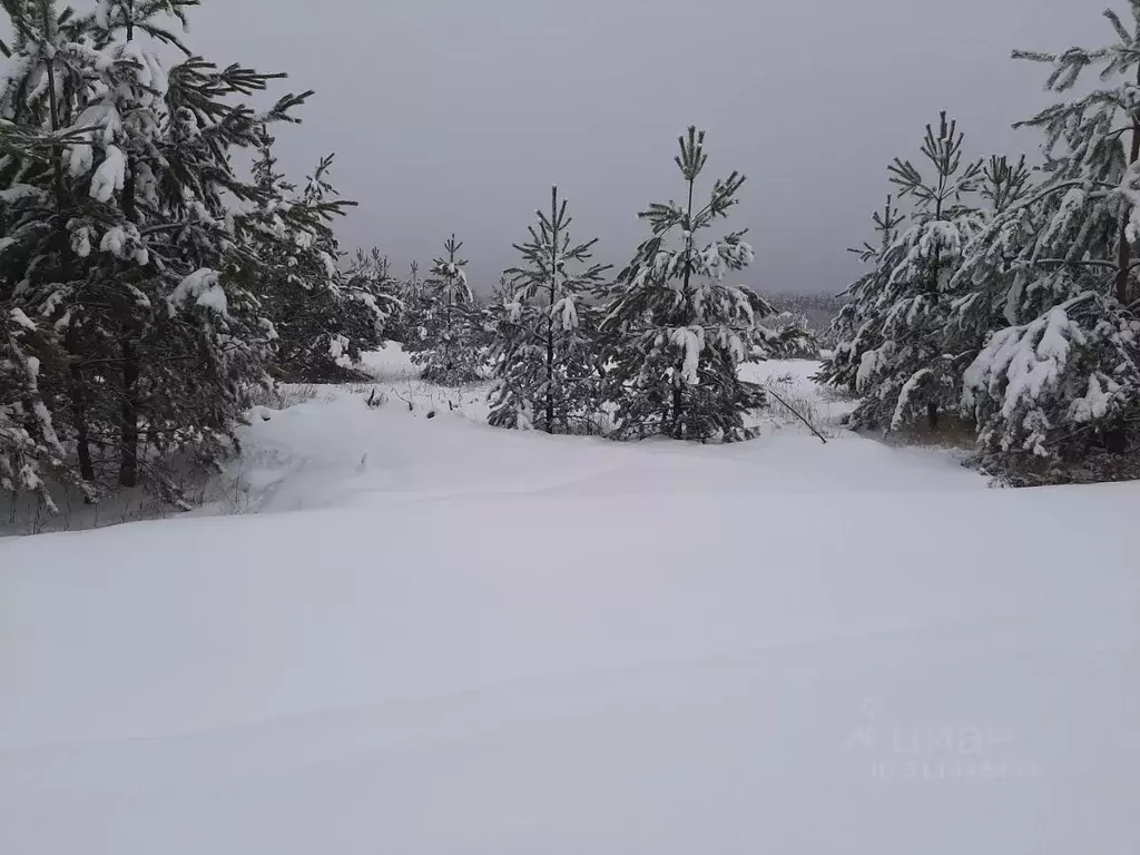 Участок в Московская область, Раменский городской округ, д. Трошково ... - Фото 0