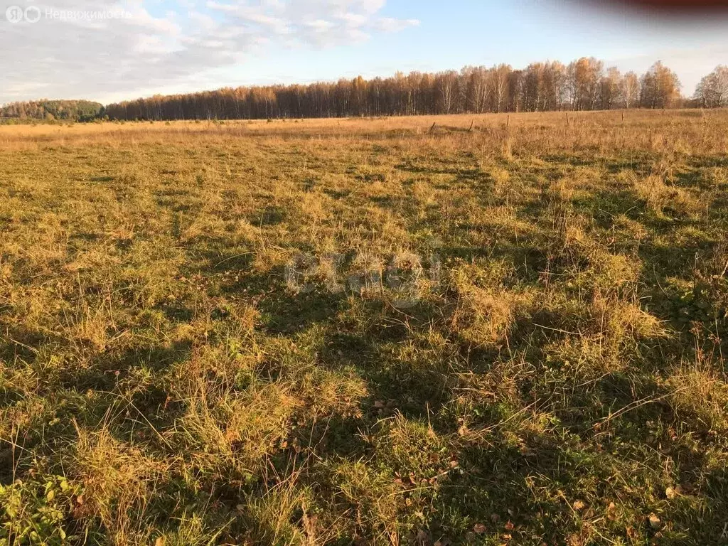 Участок в Челябинская область, Кусинский муниципальный округ, село ... - Фото 2