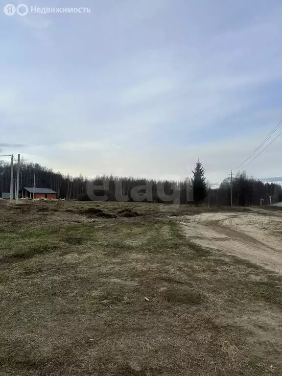 Участок в Владимирская область, Ковровский муниципальный округ, ... - Фото 2