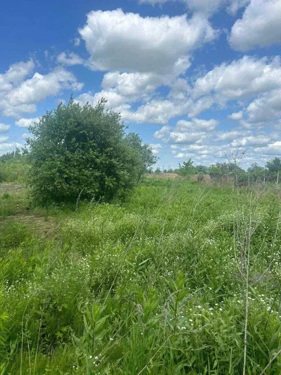Участок в Хабаровский край, Хабаровск Надежда СТ, 397 (5.58 сот.) - Фото 0