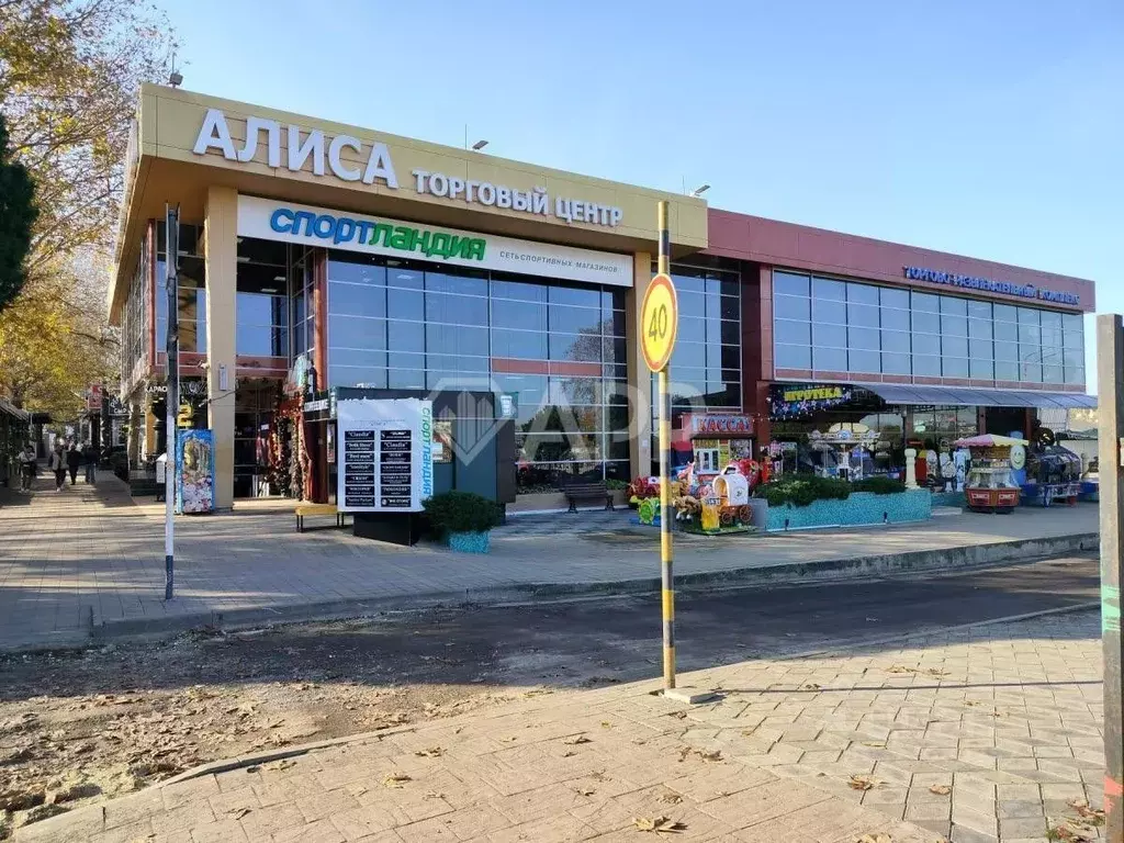 Помещение свободного назначения в Краснодарский край, Анапа ул. ... - Фото 1