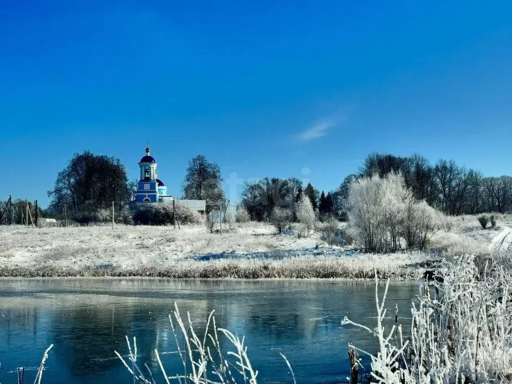 Участок в Тульская область, Заокский район, Демидовское с/пос, д. ... - Фото 2
