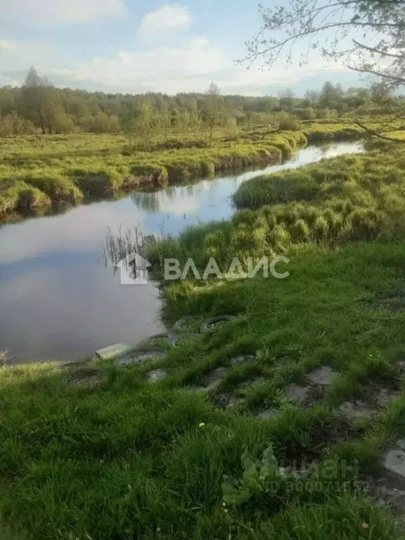 Участок в Владимирская область, Гороховецкий район, Куприяновское ... - Фото 1