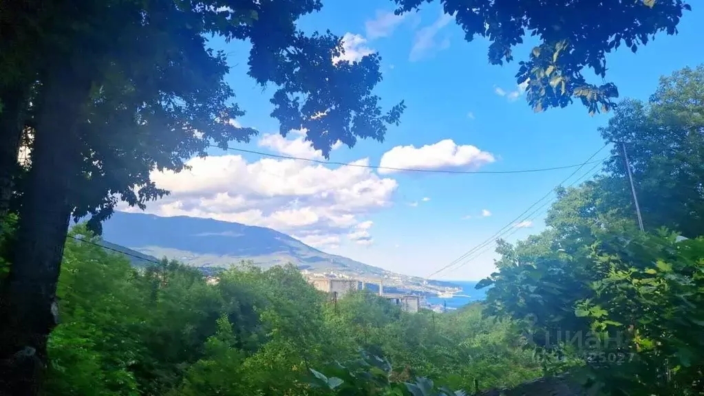 Участок в Крым, Ялта муниципальный округ, Виноградное пгт ш. ... - Фото 0