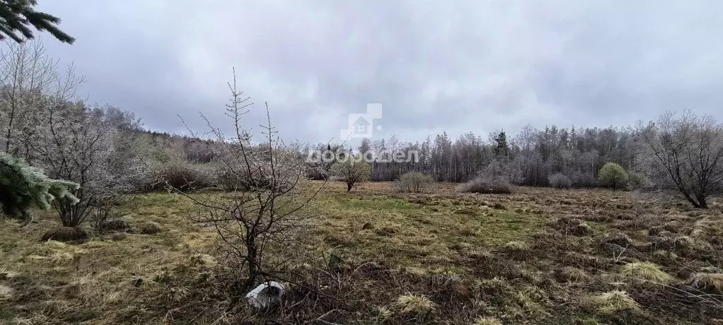 Участок в Свердловская область, Дегтярск ул. Валентины Терешковой, 21 ... - Фото 1