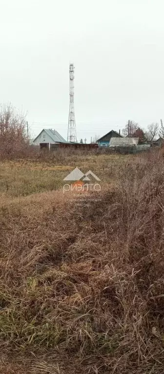 Участок в Новосибирская область, Искитимский район, Совхозный ... - Фото 0