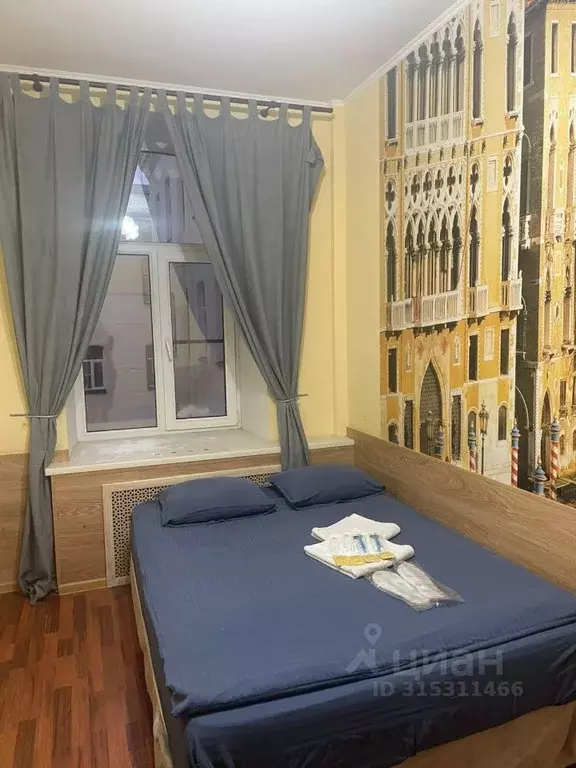 1-к кв. Санкт-Петербург Гончарная ул., 11 (16.0 м) - Фото 0