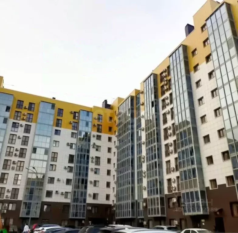 1-к кв. Волгоградская область, Волгоград ул. Расула Гамзатова, 7 (36.9 ... - Фото 0