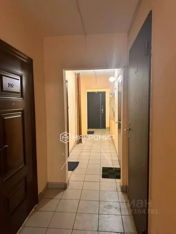 Студия Новосибирская область, Новосибирск Горский мкр, 63/1 (22.2 м) - Фото 1