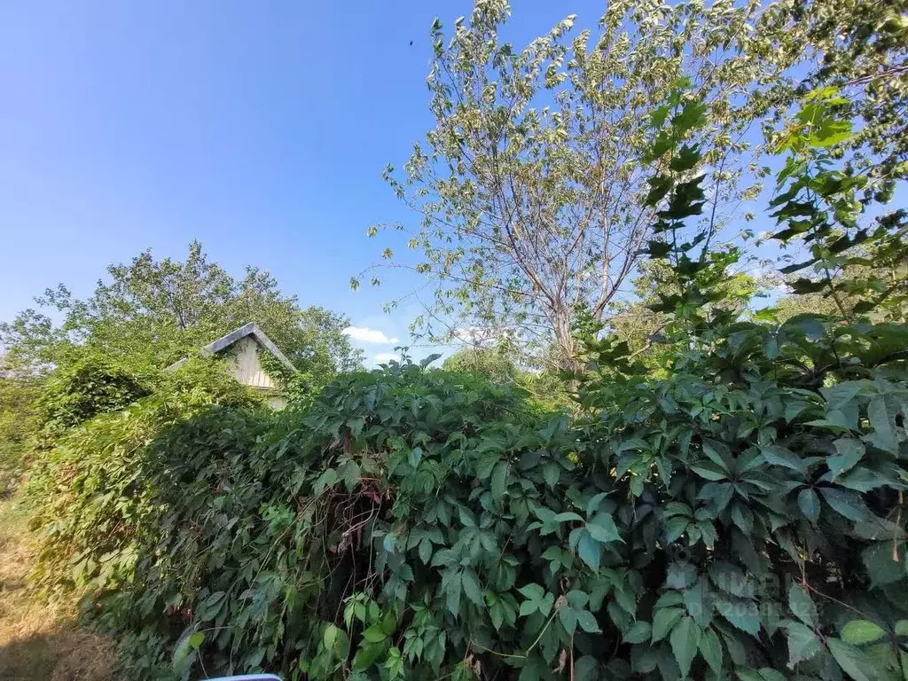 Участок в Ставропольский край, Железноводск Заря садовые участки, ул. ... - Фото 1