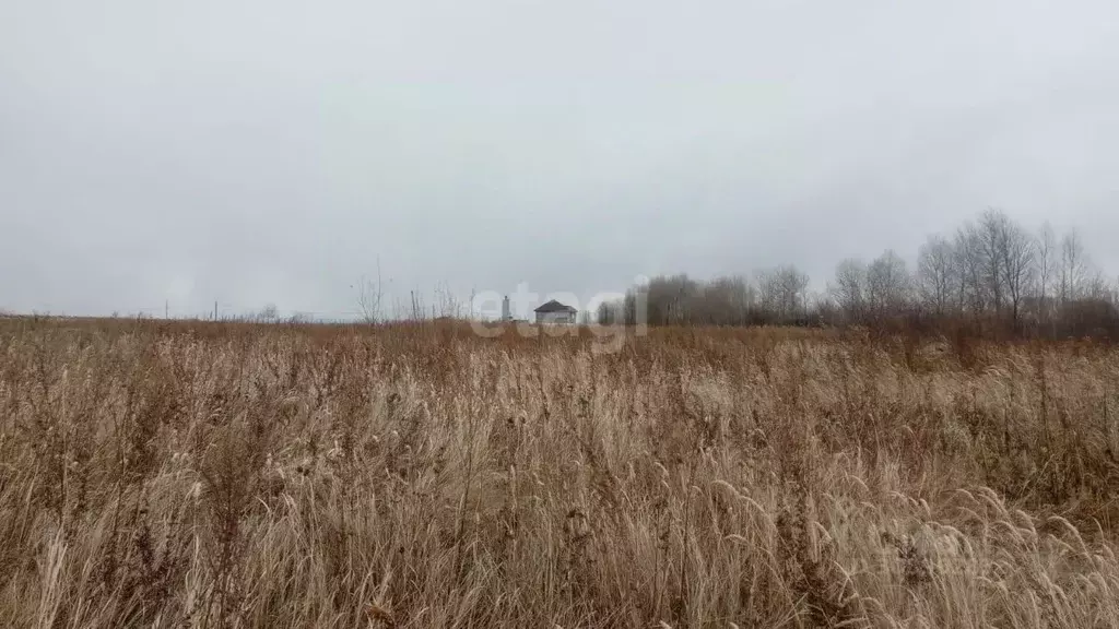 Участок в Хабаровский край, Хабаровск Дубрава СТ,  (8.2 сот.) - Фото 0