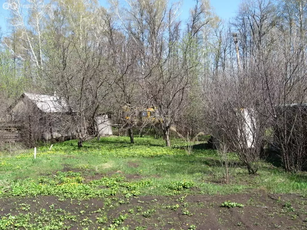 Купить Сад Дачу Кармаскалинский Район Булгаковский Сельсовет