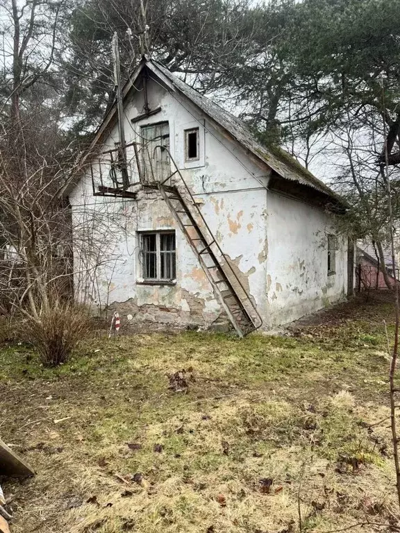 Участок в Калининградская область, Светлогорск Калининградский просп., ... - Фото 1
