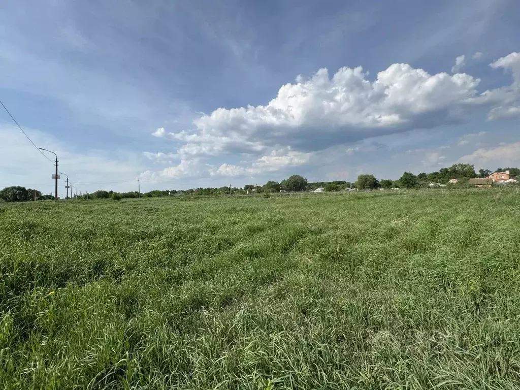 Участок в Московская область, Воскресенск городской округ, д. Ратчино  ... - Фото 1