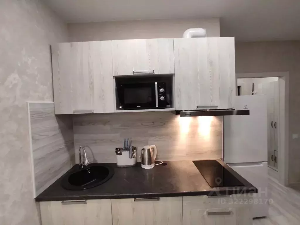 Студия Псковская область, Псковский район, Завеличенская волость, д. ... - Фото 1