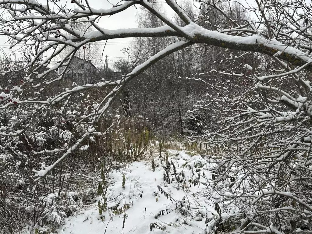 Участок в Нижегородская область, Нижний Новгород Голубой Огонек СНТ,  ... - Фото 0