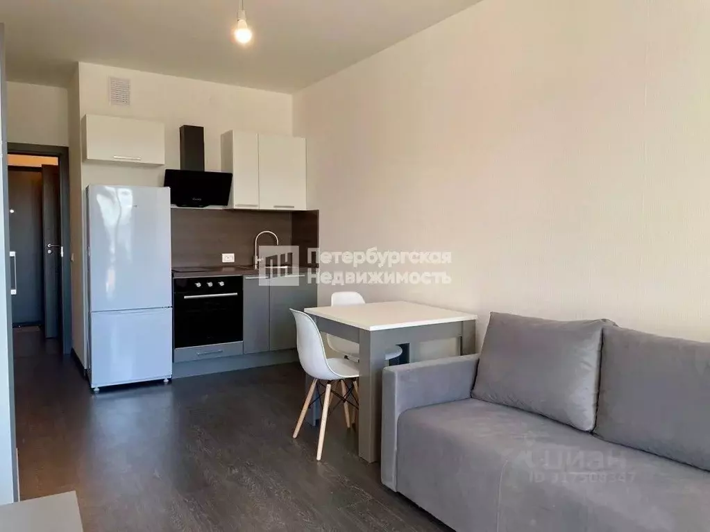 Студия Санкт-Петербург просп. Буденного, 19к1 (24.6 м) - Фото 0