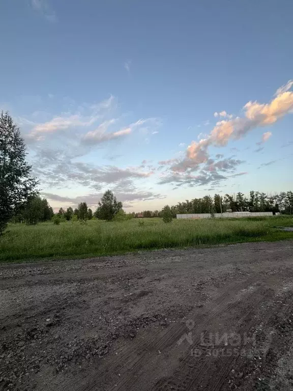 Участок в Омская область, Омский район, с. Усть-Заостровка  (12.5 ... - Фото 1