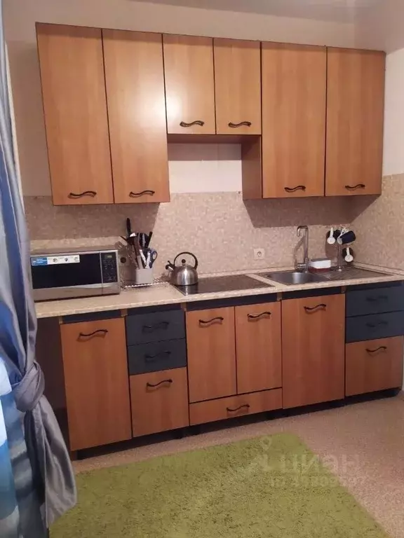 1-к кв. Нижегородская область, Нижний Новгород Бурнаковская ул., 55 ... - Фото 1