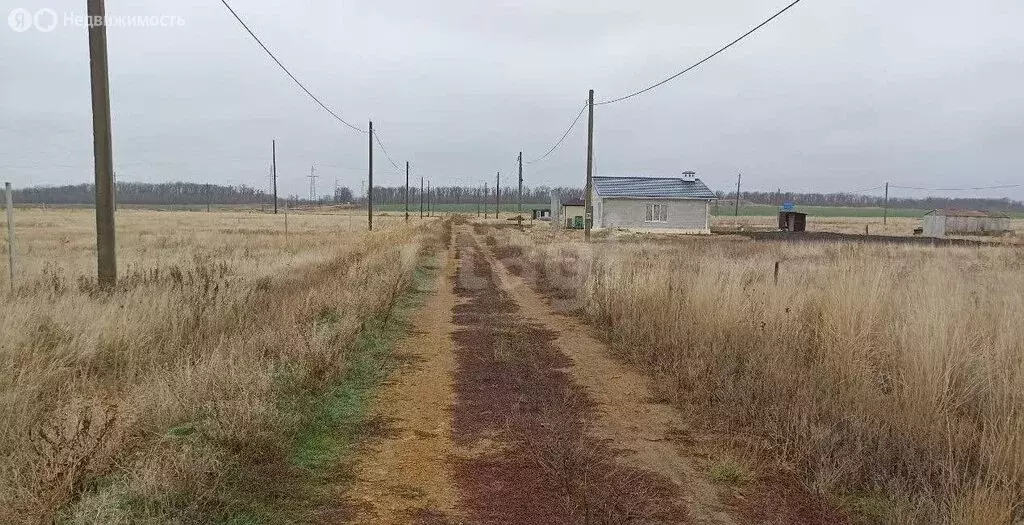 Участок в хутор Нижнеподпольный, Центральная улица (6 м) - Фото 1