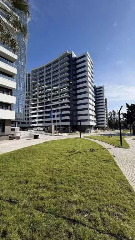 Студия Краснодарский край, Сочи ул. Просвещения, 32 (42.8 м) - Фото 2