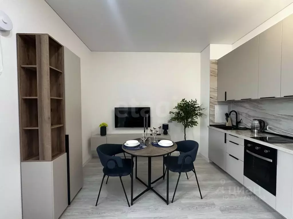 Студия Санкт-Петербург просп. Обуховской обороны, 36 (25.3 м) - Фото 2