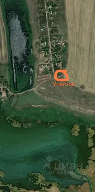 Участок в Ростовская область, Веселовский район, Верхнесоленовское ... - Фото 2