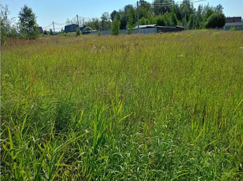 Участок в Московская область, Орехово-Зуевский городской округ, д. ... - Фото 2