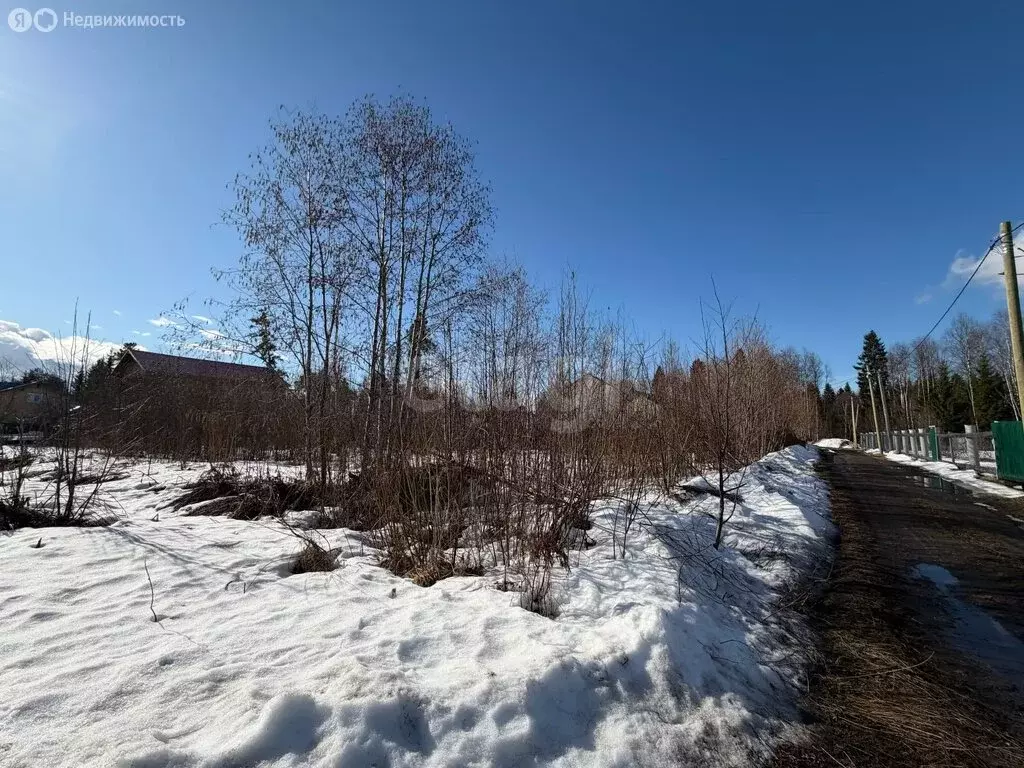 Участок в Архангельская область, Приморский муниципальный округ, СНТ ... - Фото 2